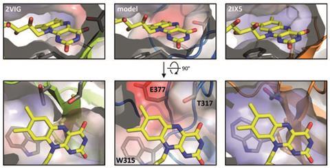 Fixing CO2 in vitro - Structure-guided engineering of Mcd into a Mco - Main