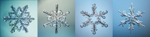 Macro photographs of snowflakes with various crystal structures