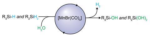 A chemical reaction equation showing Oxidation of Silanes into Silanols with Water using a catalyst