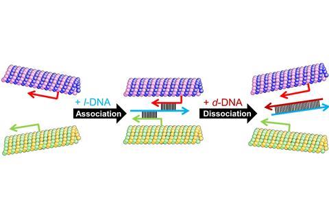 Swarming DNA aided microtubules