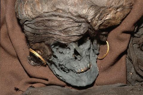 A picture showing the head skeleton remain of the Skrydstrup Woman; her hair is styled in an elaborate coiffure and she is wearing large gold hoop earrings