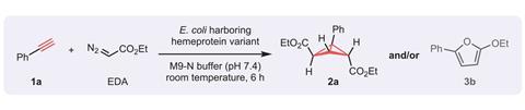 Diagram showing enzymatic construction of highly strained carbocycles 