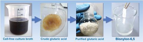 Downstream purification of bio-based glutaric acid and polymerization into nylon-6,5. Crude glutaric acid was recovered from the broth by a two-step acidification and vacuum concentration procedure. Purified glutaric acid was obtained by crystallization.