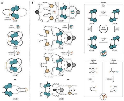 A scheme showing how the spinning of the molecular motor intertwines two strands that can then be unclipped from the motor to produce interlocking rings