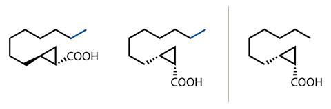 Frankincense structures