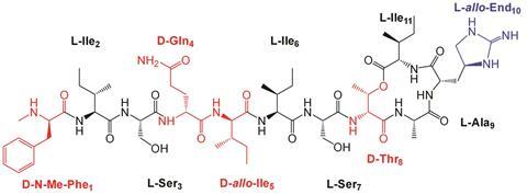 Teixobactin analogues