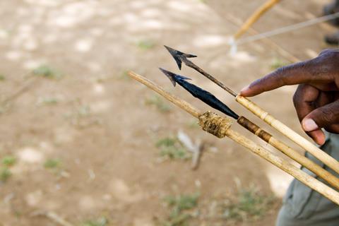 A Hadzabe bushman shows different poisoned arrows used for hunting by the Hadzabe tribe, Tanzania