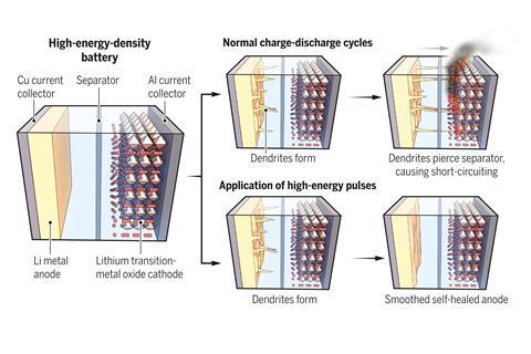 Preventing Li metal battery failure Use of Li metal anodes allows high energy densities in rechargeable batteries, but Li dendrite formation leads to short-circuiting. Li et al. report that application of intermittent high-current pulses heals the dendrit