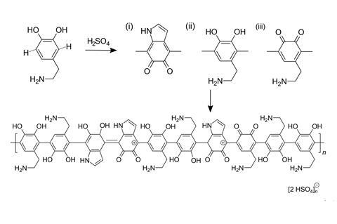 Synthesis of conductive-catalytic PDA