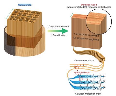 Processing approach and mechanical performance of densified wood