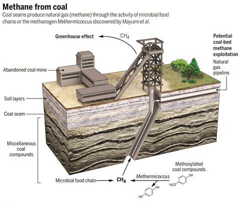 Bacteria turn coal chemicals into methane