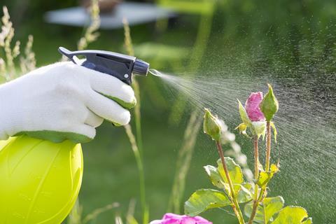 A gardener spraying a flower with pesticide