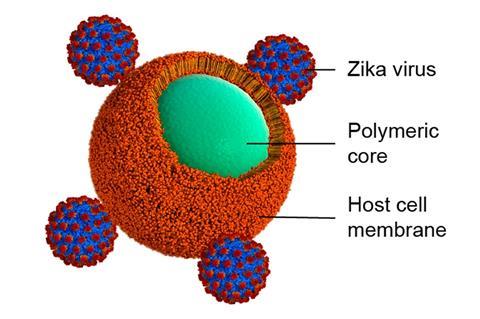 Schematic of an ND that adsorbs ZIKV