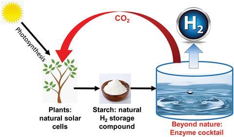 Ultra-rapid rates of water splitting for biohydrogen gas production through in vitro artificial enzymatic pathways