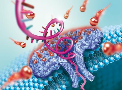 A picture of a lithium ion active aerolysin nanopore for effectively trapping long single stranded DNA