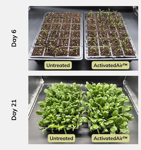 Treated and untreated plants