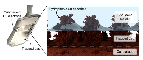 An image showing the plastron effect: the use of a hydrophobic surface to trap a layer of gas between the solution–solid interface