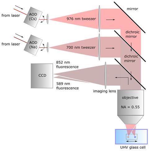 A schematic of the set up for dual-species single atom trapping and imaging