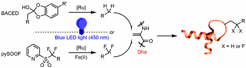 An image showing figure 2