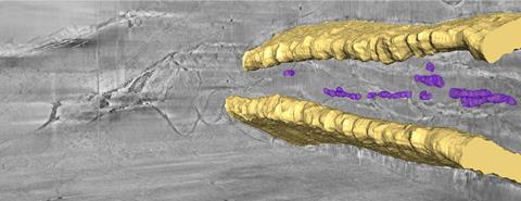 3D cryo-FIB-SEM of a zebrafish tail bone - research by Lia Addadi, Steve Weiner & Andreas Schertel