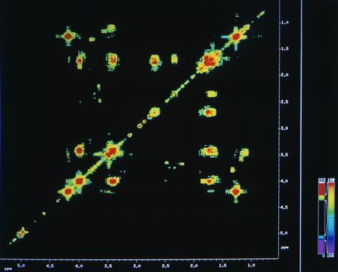 2D NMR