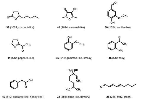 Structures of aroma-active compounds identified with high FD factors in raw  licorice 