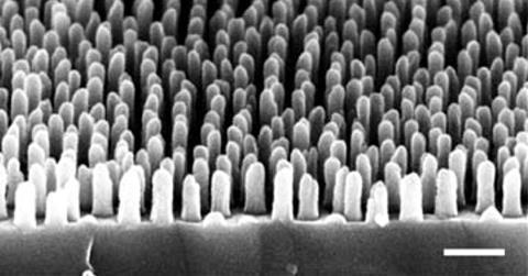 nanostructured surfaces with perfect transmittance fig1e