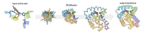 An illustration showing how the AI program designs a new protein around the active site required to catalyse the ester hydrolysis reaction