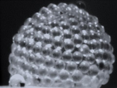 Gas marble electron micrograph