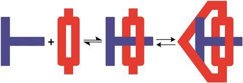 formation of molecular suit