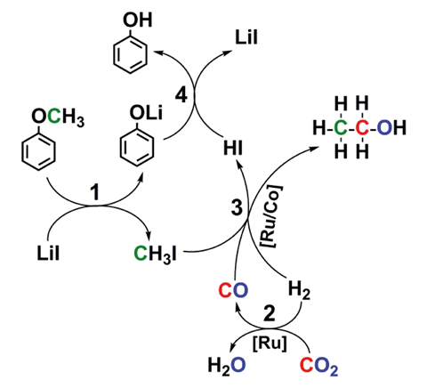 A scheme showing the three cascade reactions involved in the process