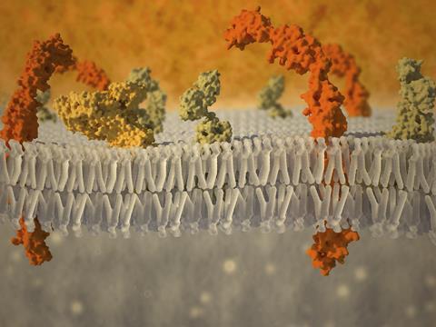 A picture of a cell membrane