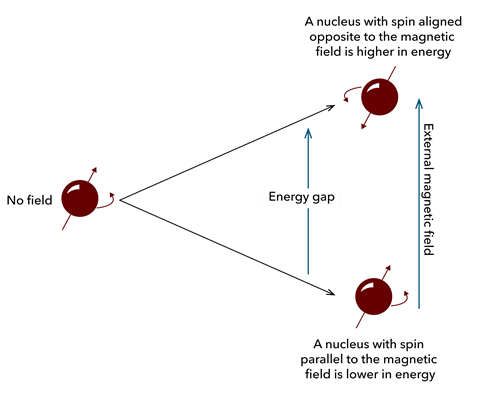 NMR diagram
