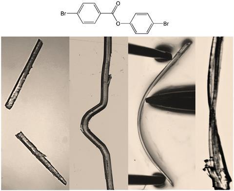 Trimorphs of 4-bromophenyl 4-bromobenzoate. Elastic, brittle, plastic