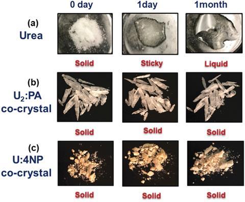 Urea co-crystals