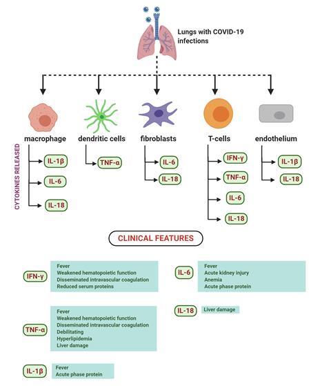 Clinical presentation, pathophysiology and histopathology | Book