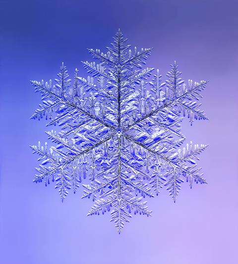 Largest snowflake crystal
