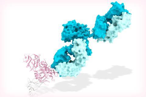 A 3d illustration of an antibody binding PCKS9 protein