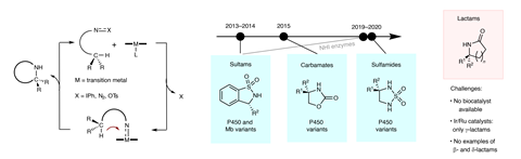 A cyclic chemical pathway  on the right and a timeline for chemicals on the left including Sultams in 2013-14 and 2019, Carbamates in 2015 and Sulfamides in 2020