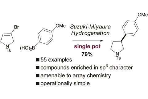 Practical synthesis of pharmaceutically relevant molecules enriched in sp3 character