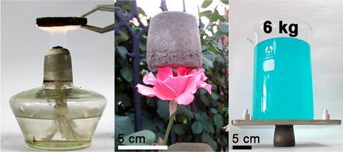 Lightweight and Ultrastrong Polymer Foam resting on a flower