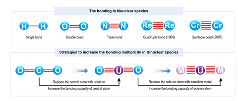 A diagram illustrating different covalent bonds in molecules - single bond in hydrogen, double in oxygen, triple in nitrogen, quadruple in rhenium and quintuple in chromium. Below is a chemical pathway to increase the bond type using uranium in CO2.
