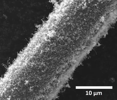 SEM of CNT-SiCF fuzzy fiber - Fig 2c - Main