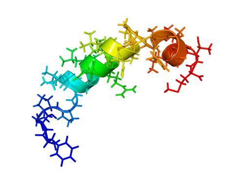 Orexin B