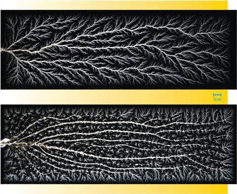 Two images of Lichtenberg figure channels