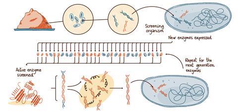 Illustration showing enxyme screening process