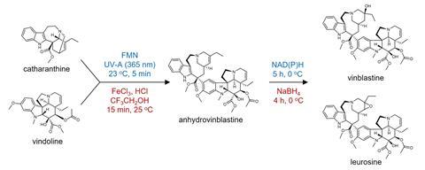 Reaction scheme