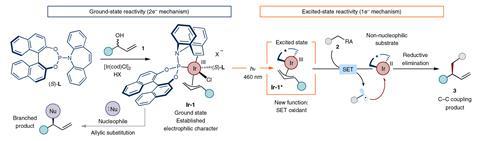 A scheme showing the iridium complex doing either an allylic substitution or a cross coupling reaction, depending on conditions