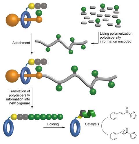 Illustration of  the assembly of an artificial molecular machine system