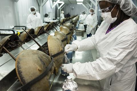 Horseshoe crabs are bled at the Charles River Laboratory